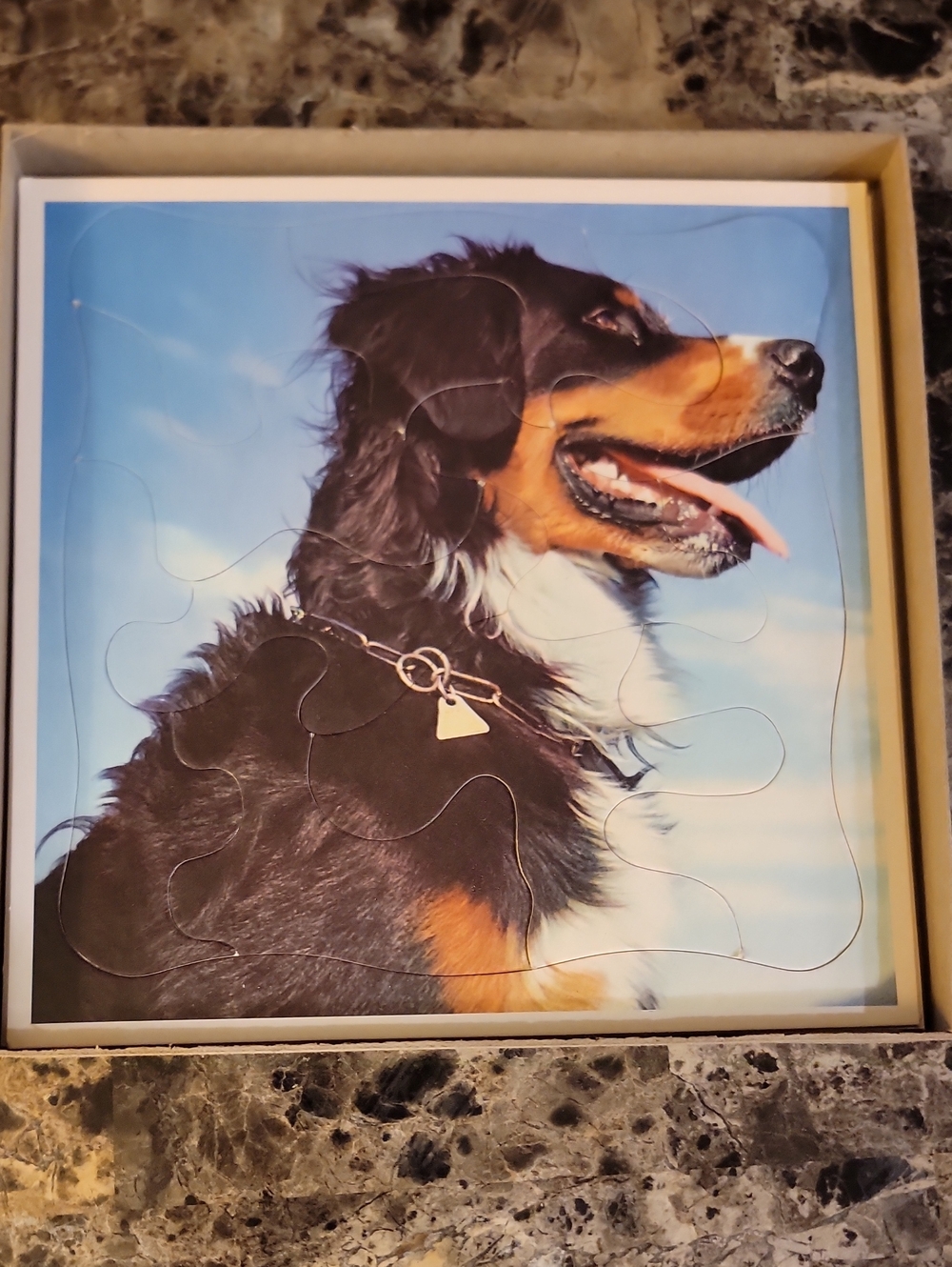 Vintage Whitman Picture Puzzles Set Of 3 Tell-a-Tale Dogs & Cats Scottie dogs - Picture 4 of 6